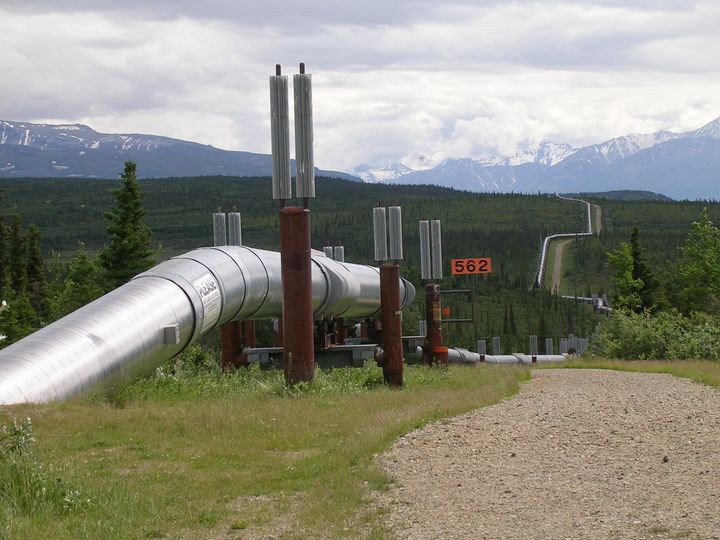 Trans-Alaskan öljyputki on pituudeltaan 1288 kilometriä ja se kulkee koko Alaskan läpi Jäämereltä Tyynelle valtamerelle. Kuva: Jan Hjort