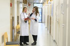 Kuva: Sakari Röyskö