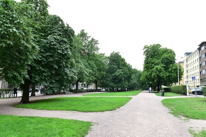 Puiston hiekkakäytävät ovat ominaisia Hesperian esplanadille. Kuva: Teina Ryynänen