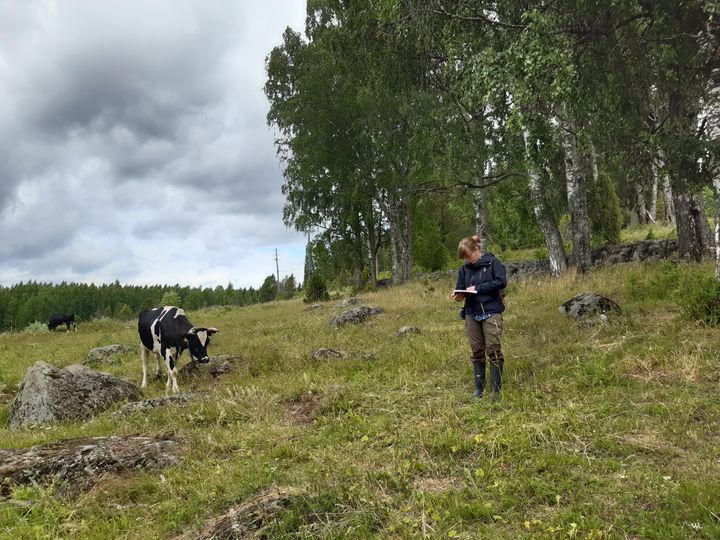 Kartoittaja ja apulainen niityllä. Kuva: Sanni Virtanen.