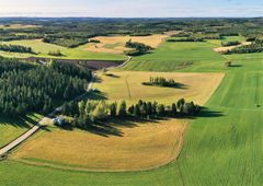 Kuva: Pohjois-Savon ELY-keskus, Haapanen Kimmo