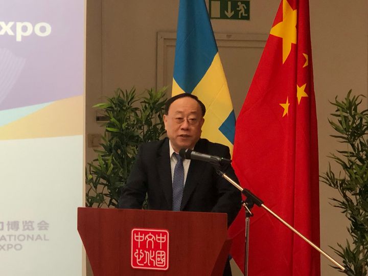 Wang Bingnan, Vice Minister of Commerce of China, speaks at Roadshow for the second CIIE in Stockholm (Photo/ Li Kang)