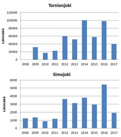 Kaikuluotauksissa havaitut nousulohimäärät Tornion- ja Simojoella (www.luke.fi/nousulohet). Kaikuluotaukset aloitettiin Simojoella vuonna 2008 ja Tornionjoella vuonna 2009. Vuoden 2017 tulokset ovat alustavia.