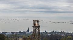 Tadashi Kawamata: Vallisaari Lighthouse, 2021 ©Maija Toivanen/HAM/Helsinki Biennial 2021.