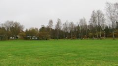 Kaskiniitty, kuvaaja Kaisa Rauhalammi