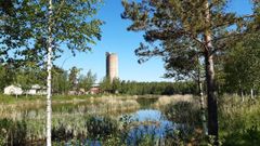 Kuva: Auri Koivuhuhta / Pirkanmaan ELY-keskus