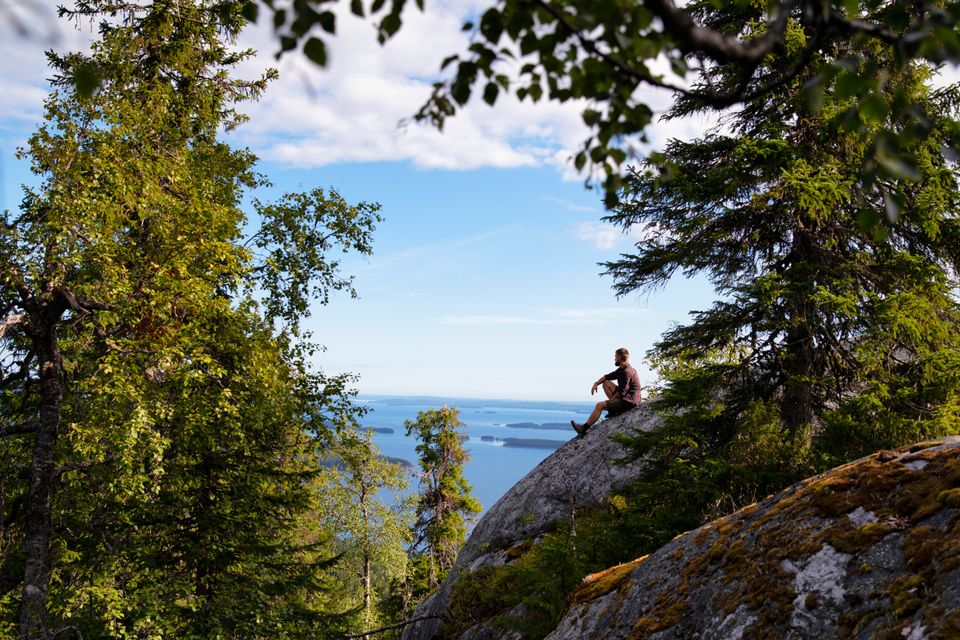 Koli National Park