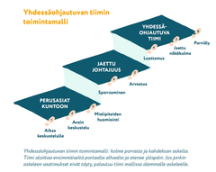 Yhdessäohjautuvan tiimin mallin pääportaat ja askeleet. Tiimi aloittaa ensimmäiseltä portaalta alhaalta ja etenee ylöspäin.