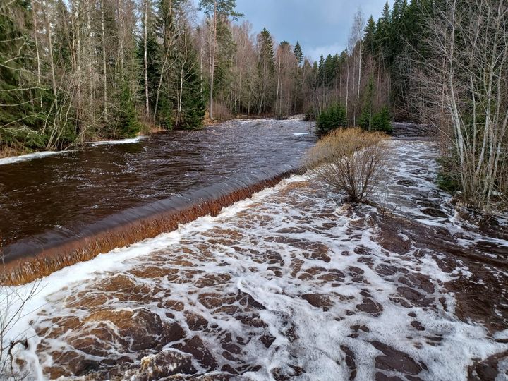 Seinäjoen vanhassa uomassa virtasi runsaasti vettä 27.4.2023.