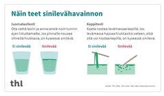 Tässä ohje siitä, miten tehdään yksinkertainen levätesti (lähde THL).