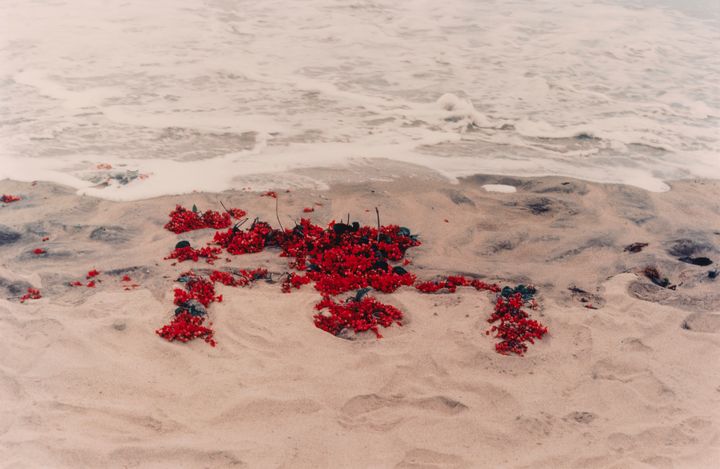 Ana Mendieta: Silueta Works in Mexico, 1973-1977/ Kuva: HAM / Hanna Kukorelli