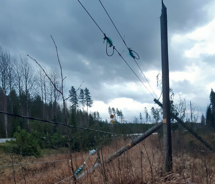 Kangasniemellä runko oli kaatunut linjan päälle ja katkonut pylvään.