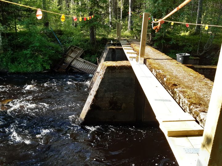 Lontanjoen uittopadon kaiderakenteiden kunnostustyöt ovat käynnissä. Kuva: Kainuun ELY-keskus.