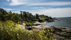 Skanslandet är den konkreta och konceptuella utgångspunkten när det gäller kuratorsarbetet på Helsinforsbiennalen, och ön har inspirerat konstnärerna. Bild: Matti Pyykkö.