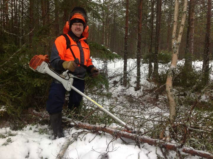 Kansanedustaja Reijo Hongisto luottaa suomalaisen metsäteollisuuteen myös ahkeroidessaan raivasusahan kanssa omassa metsässä.
