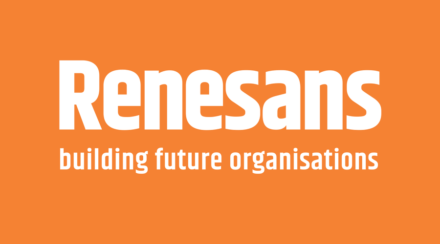 Renesans Consulting Oy