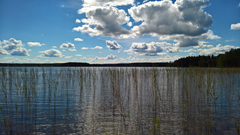 Loppukesän hellepäivä Takajärvellä. Kuva: Heini-Marja Hulkko.