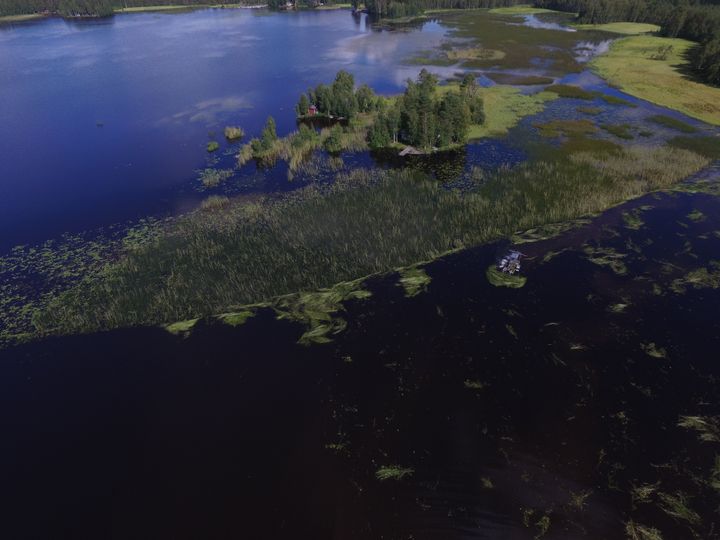 Evijärven niittoalue dronella kuvattuna.