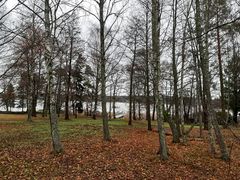 Vähäniityn puisto päättää Kluuvin puistoakselin Vähäniityn venesataman tuntumaan. Kuva: Tea Karjalainen.