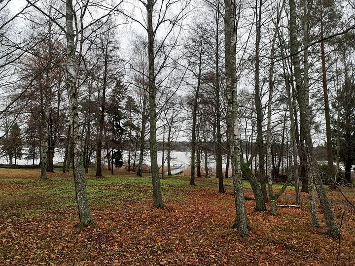 Vähäniityn puisto päättää Kluuvin puistoakselin Vähäniityn venesataman tuntumaan. Kuva: Tea Karjalainen.