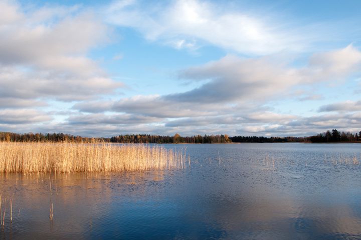 Tulvatilanne on jo rauhoittumaan päin Pirkanmaalla. Kuva: ELY-keskus