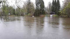 Sateiden vuoksi juoksutukset Kuokkalankoskella ovat kasvaneet toukokuussa. Kuva Kuokkalankoskelta 17.5.2021 (kuva: Diar Isid)