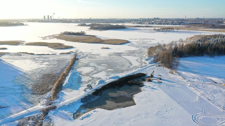 Helsingin Viikissä on kaivettu lampareita linnustoa varten mm. Puronlahden rantaluhdalle. (Tuomas Lahti)