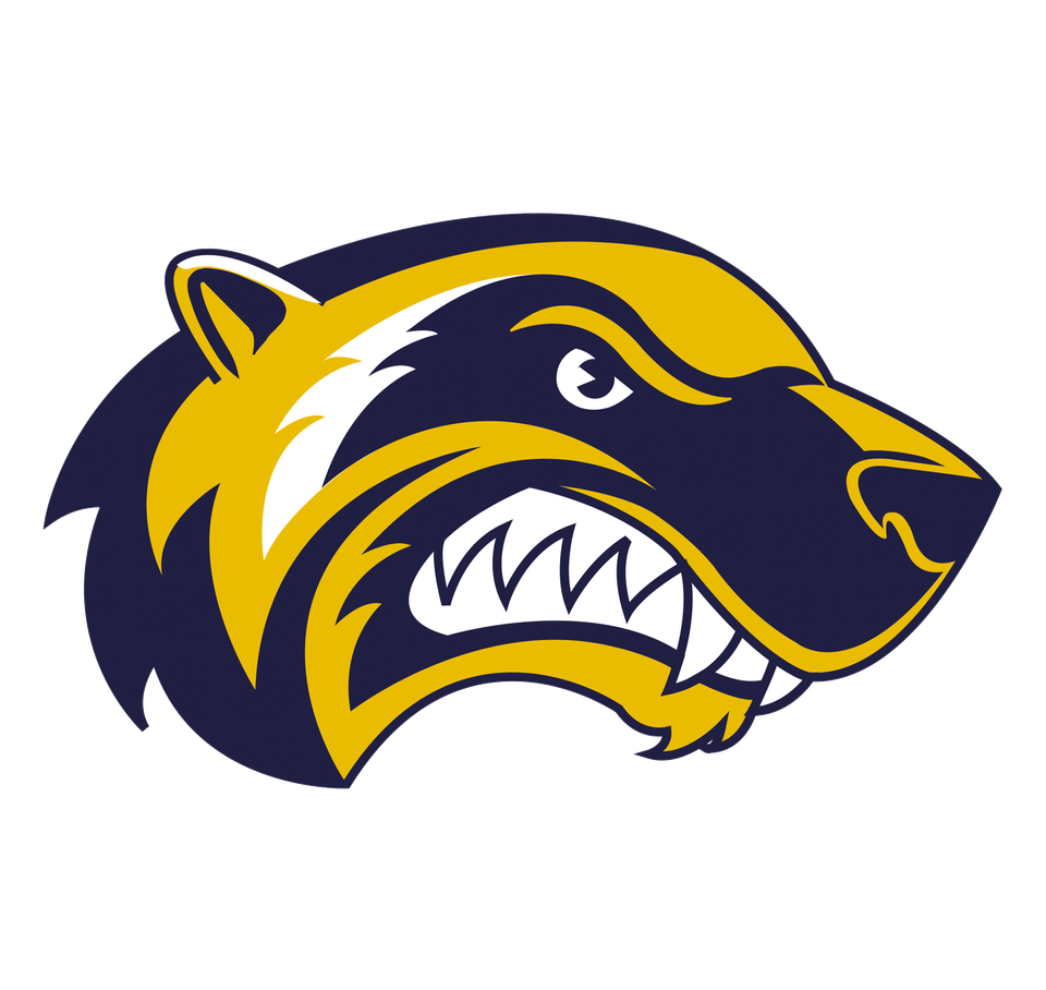 Helsinki Wolverines