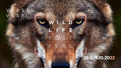Naturfilmfestivalen Vaasa Wildlife som i år fyller 20 år bjuder under fem dagar på 175 naturfilmer från 51 länder.