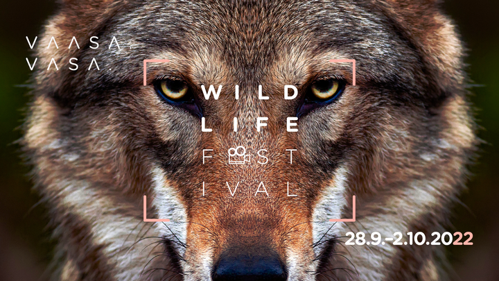 Naturfilmfestivalen Vaasa Wildlife som i år fyller 20 år bjuder under fem dagar på 175 naturfilmer från 51 länder.