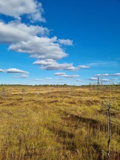 Kuva Pudasjärven suojelukohteesta. Kuva Heikki Leppänen.