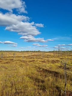 Kuva Pudasjärven suojelukohteesta. Kuva Heikki Leppänen.