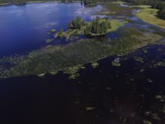 Slåtterområde i Evijärvi fotograferat med drönare.