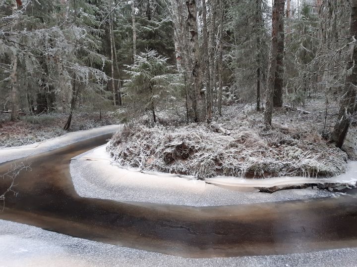 Martimojoki, Oulu. Kuva Jukka Höyhtyä.