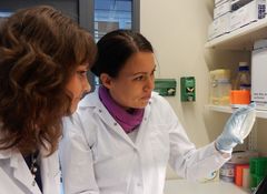 Heidi Marjonen ja Nina Kaminen-Ahola tarkastelevat maljoja, joilla kloonataan bakteereita  epigeneettisten merkkien eli DNA-juosteeseen sitoutuvien metyyliryhmien tarkasteluun.
