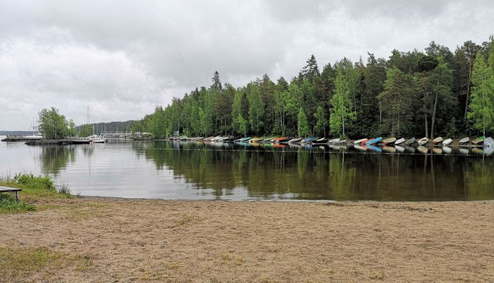 Rauhaniemen uimarannalla Tampereella ei ole tällä viikolla havaittu sinilevää. Kuva: Kati Ojala / Pirkanmaan ELY-keskus.
