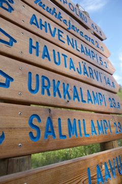 Kiviniemi on Kolin retkeilyreittien solmukohdassa ja yksi Herajärven kierros -retkeilyreitin aloitus- ja päätepisteistä. Kuva: Sami Tirkkonen