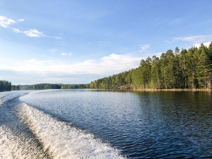 Järvimaisema. Kuva: Saara Sonninen.