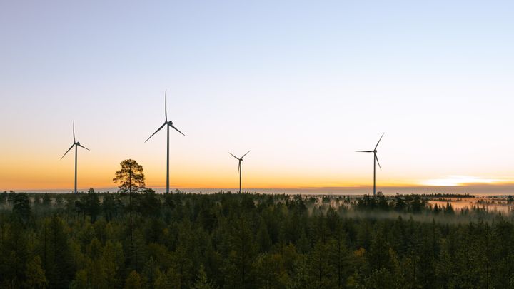S-ryhmän tuulivoimaloita (kuva: Jarkko Finnilä)