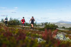 Buff® Trail Tour Finland -kiertueen osakilpailu, 21 kilometrin "Tunturipuolikas" on NUTS Pyhän suosituin matka. Kolme viikkoa ennen tapahtumaa siihen on ilmoittautunut liki 470 juoksijaa. Kuva: Rami Valonen.