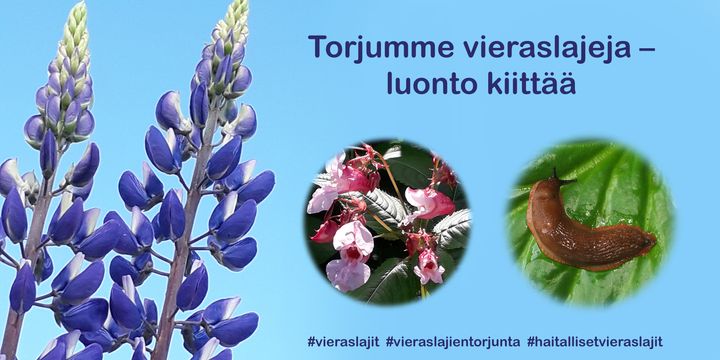 Torjumme vieraslajeja - luonto kiittää