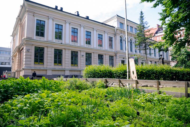 De flesta kurserna som börjar på Annegården hösten 2023 pågår ett läsår. Bild: Virpi Peltola.