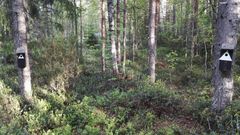 Eri kokoisilla symboleilla merkittyjä pesäpönttöjä. Kuva Jukka Forsman.