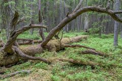 (Kuva: Jyväskylän yliopisto)