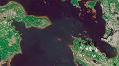 Levälauttoja Oulun edustan merialueella. Sisältää Copernicus-dataa, SYKE (2022).