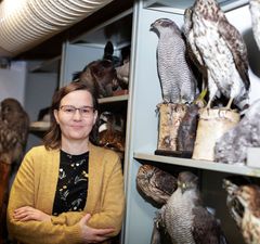 Museon kokoelmat ovat luonnontutkijoiden aarreaitta, josta vain murto-osa on tuotu esille yläkerran näyttelyyn, esittelee intendentti Tanja Koskela. Kuva: Jyväskylän yliopisto/Petteri Kivimäki