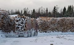 Kainuun elinkeinoelämän näkymät ovat valoisat lähivuosina. (Kuva: Kimmo Rauatmaa)