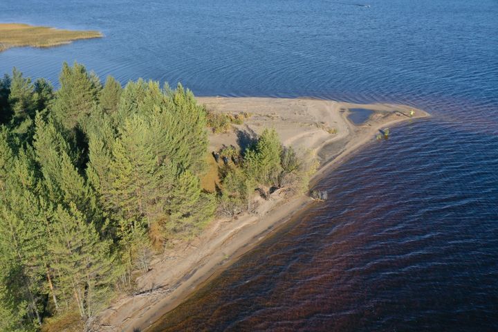 Hiekkarannoilla on arvoa retkeily- ja virkistyskohteina, vaikka kunnostuksessa mennään luontoarvot edellä. Kuvaaja Juho-Ville Marttila.