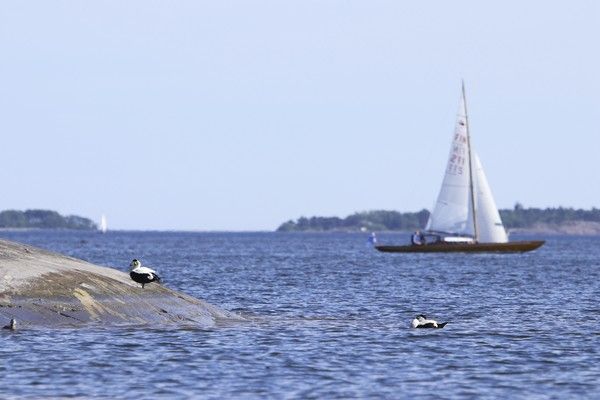 Kuva: Helsingin kaupunki/ Marianne Saviaho