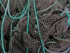 Maailman meriin hylättyjä kalaverkkoja käytetään ekologisten alushousujen raaka-aineena.